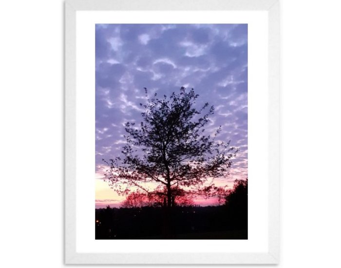 Twilight Framed Print Twilight Framed Print